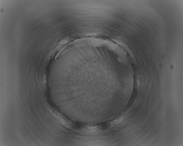 X0000067890260200604271834