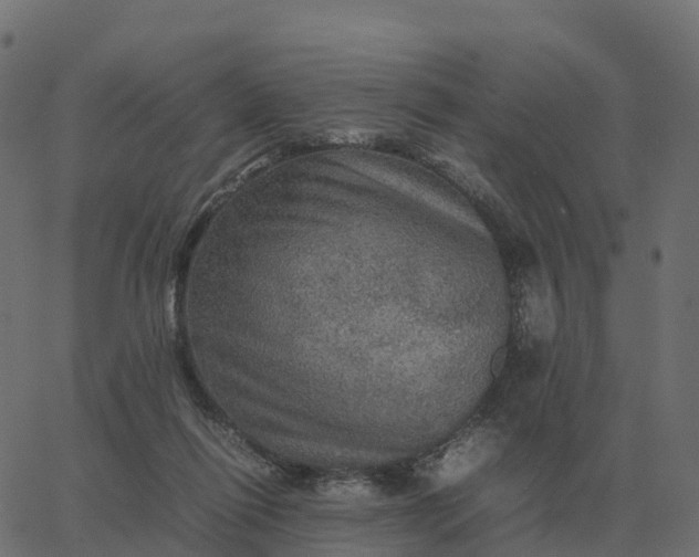 X0000067890262200604271834