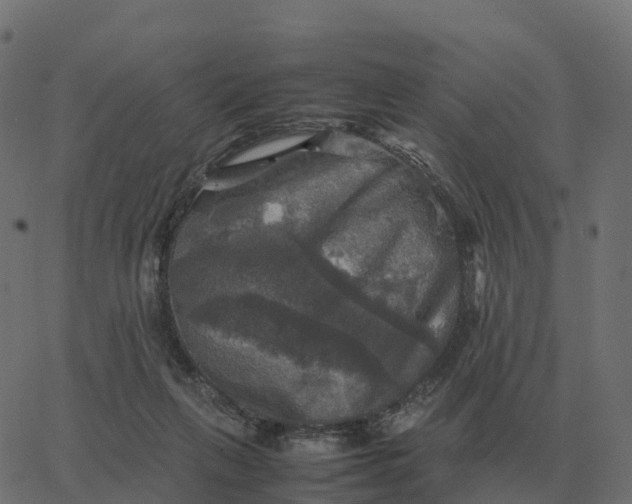 X0000067890263200604271834