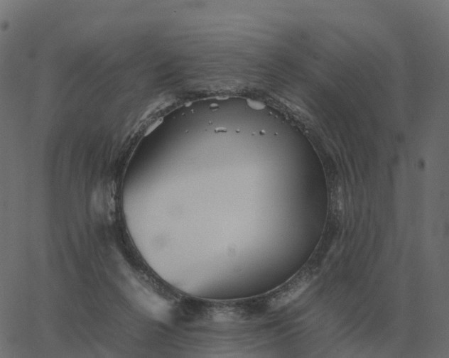 X0000067890264200604271834