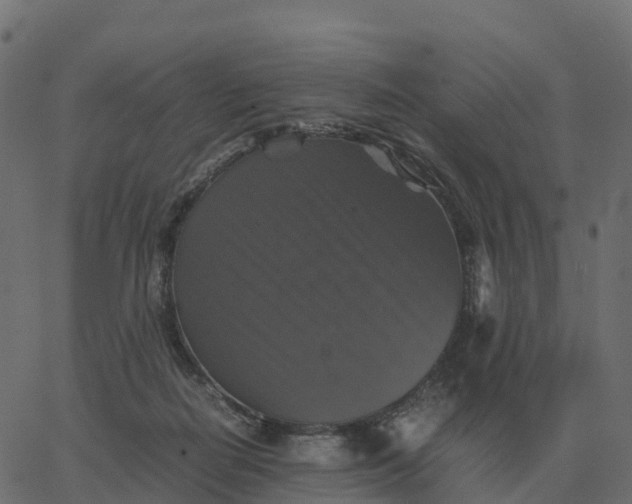 X0000067890266200604271834