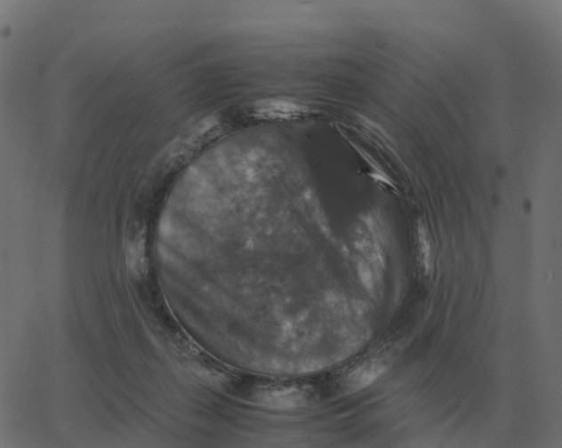 X0000067890267200604271834