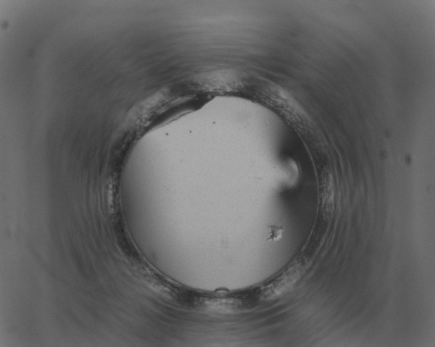 X0000067890268200604271834