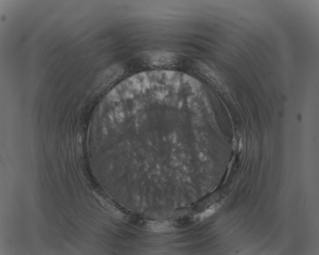 X0000067890269200604271834