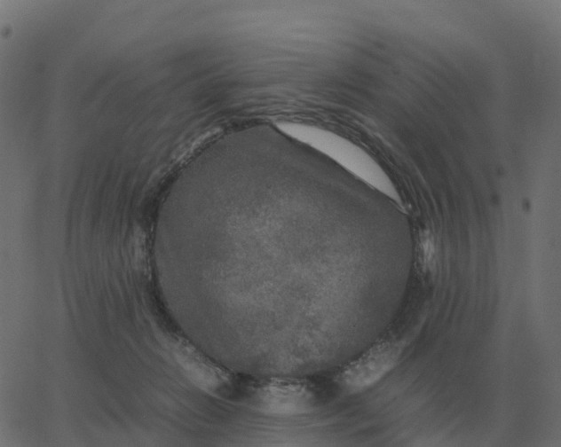 X0000067890270200604271834