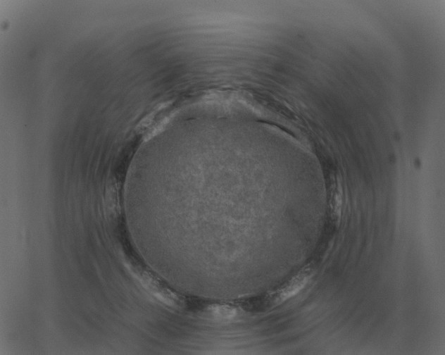 X0000067890272200604271834