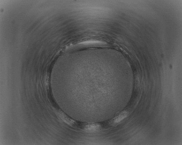 X0000067890274200604271834