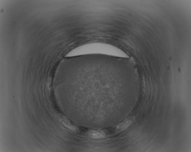 X0000067890275200604271834