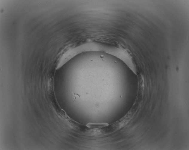 X0000067890276200604271834