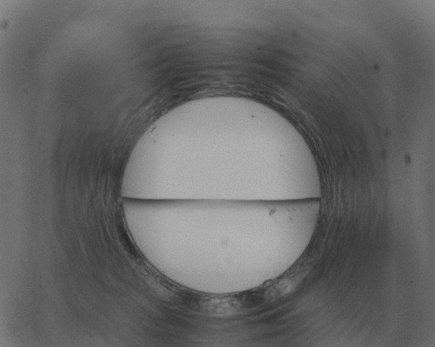 X0000067890277200604271834