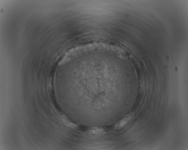 X0000067890278200604271834