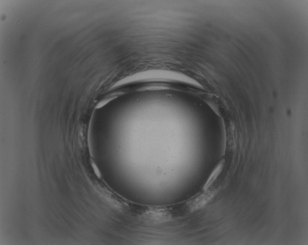 X0000067890280200604271834