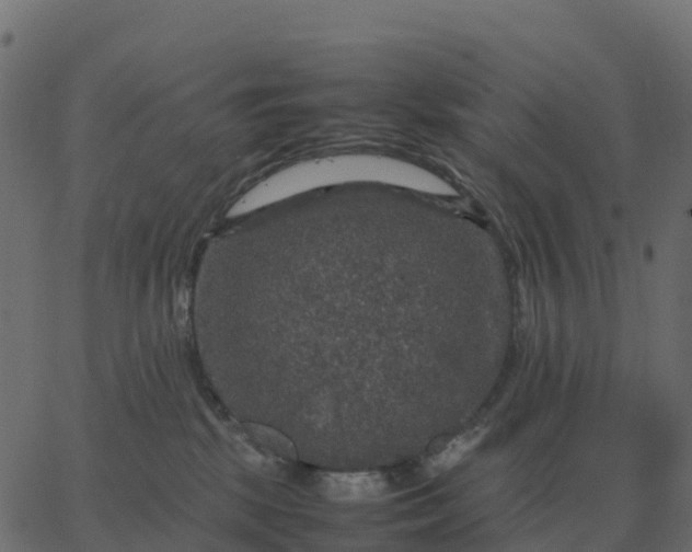 X0000067890281200604271834