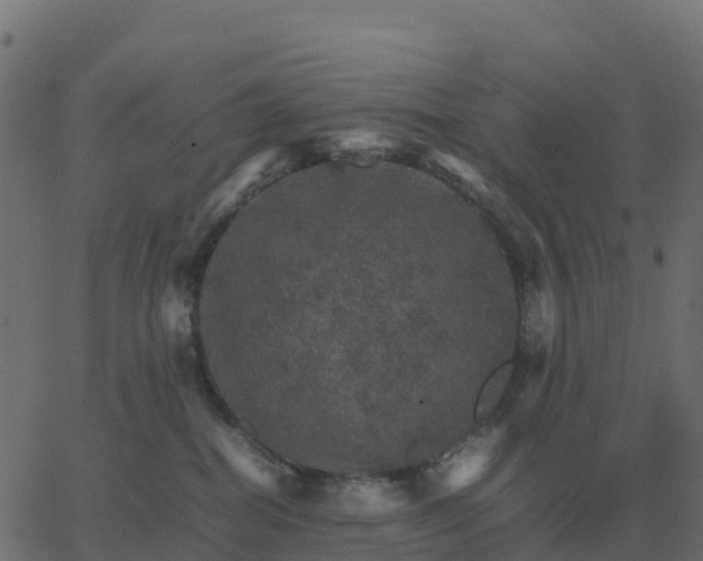 X0000067890282200604271834