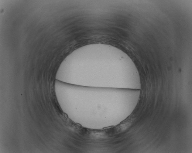 X0000067890283200604271834