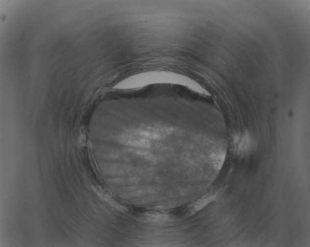 X0000067890284200604271834