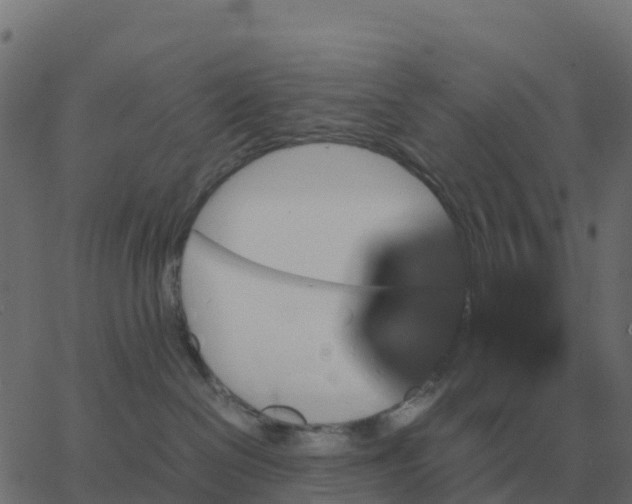 X0000067890286200604271834