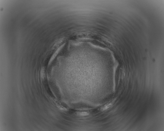 X0000067890287200604271834