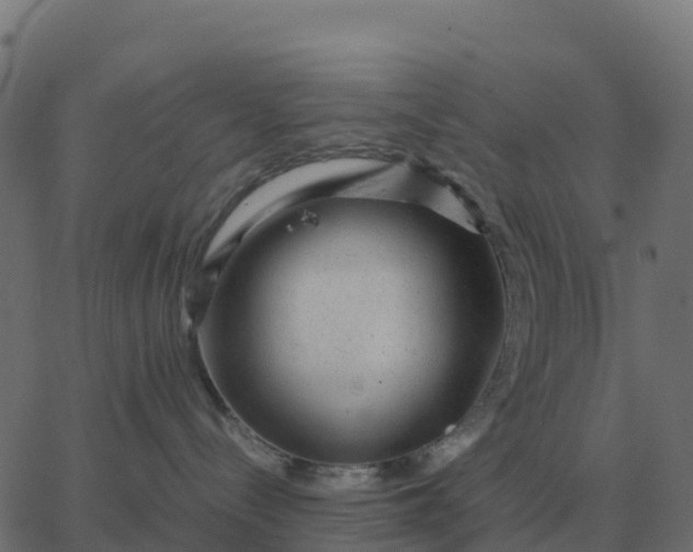 X0000067890288200604271834