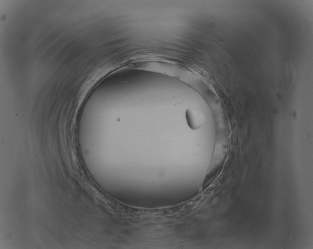 X0000067890289200604271834