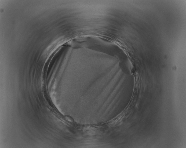 X0000067890290200604271834