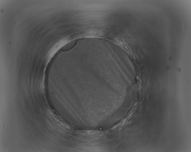 X0000067890292200604271833