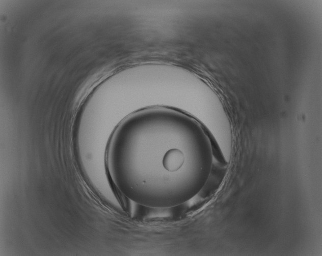 X0000067890293200604271833