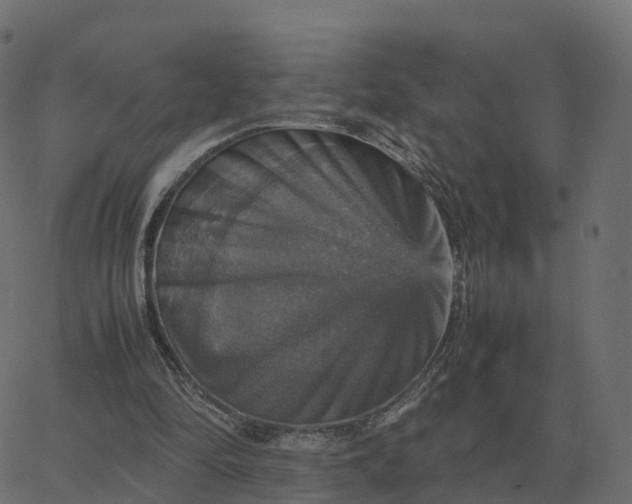 X0000067890294200604271833