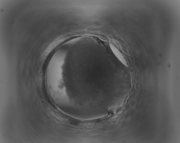 X0000067890295200604271833