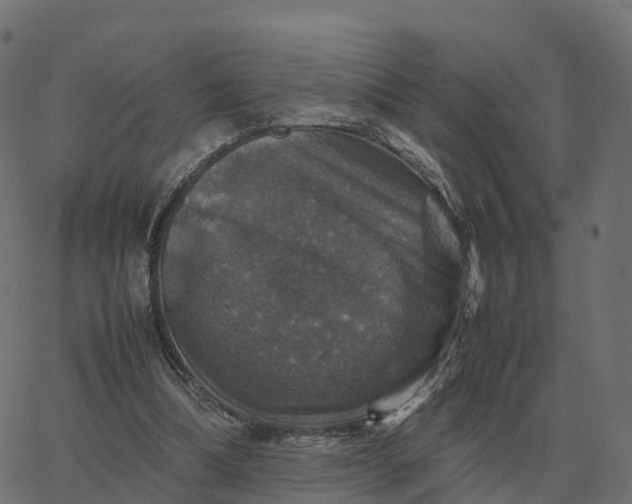 X0000067890298200604271833