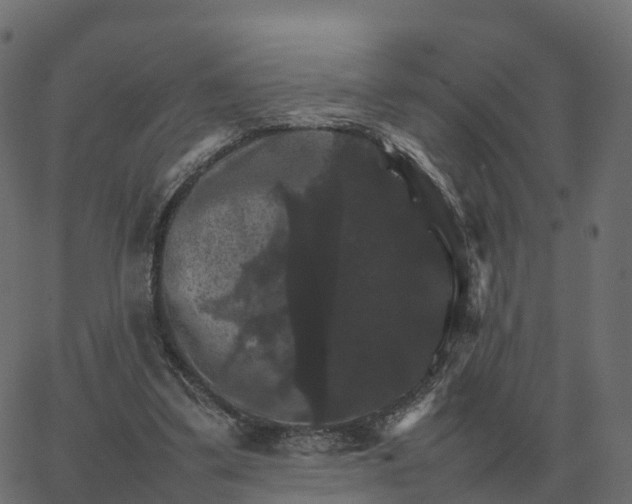 X0000067890299200604271833