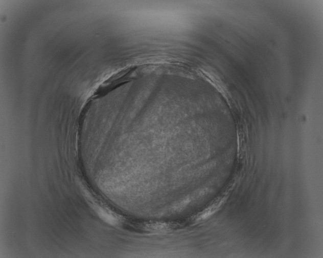 X0000067890301200604271833