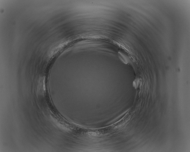 X0000067890302200604271833