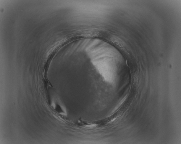 X0000067890303200604271833