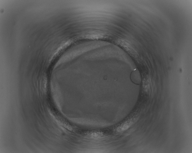 X0000067890304200604271833