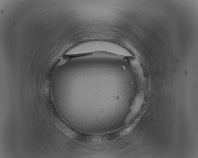 X0000067890305200604271833