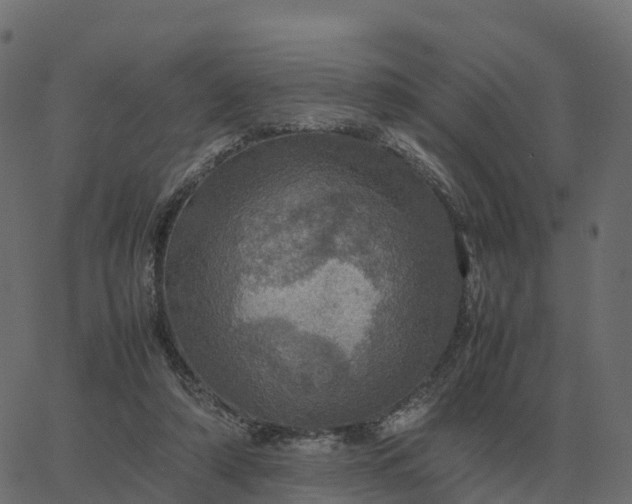 X0000067890306200604271833