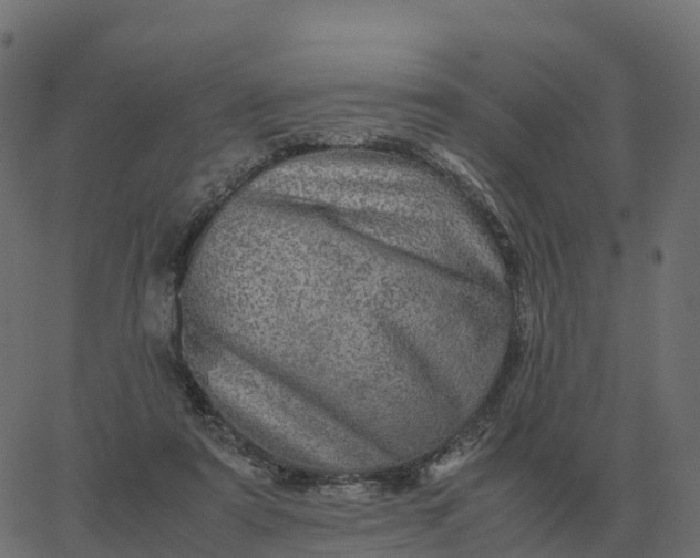 X0000067890307200604271833