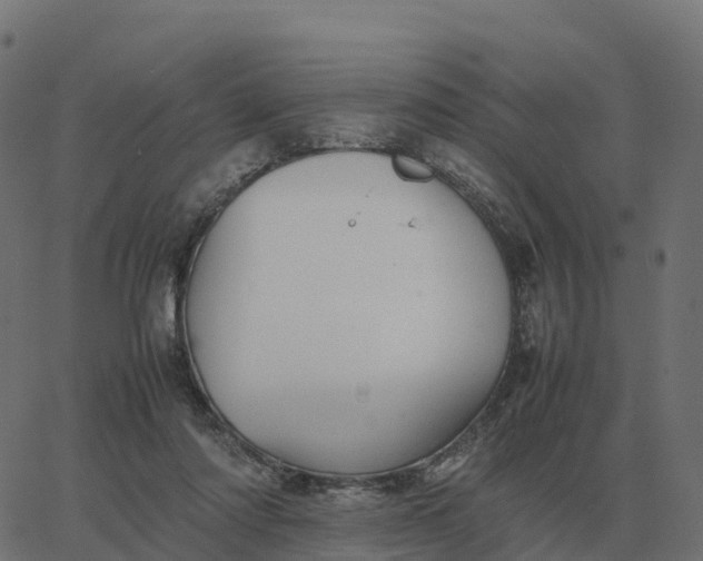 X0000067890310200604271833