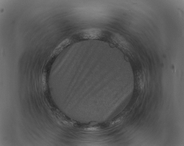 X0000067890312200604271833