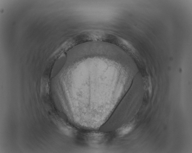 X0000067890313200604271833