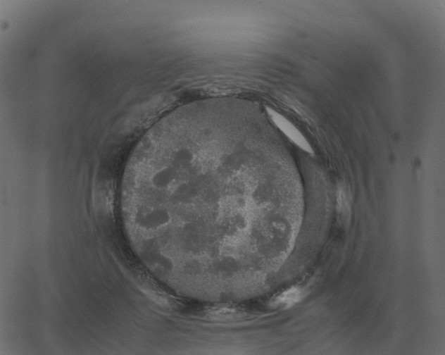 X0000067890315200604271833