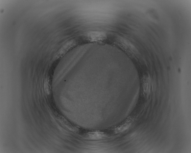 X0000067890316200604271833