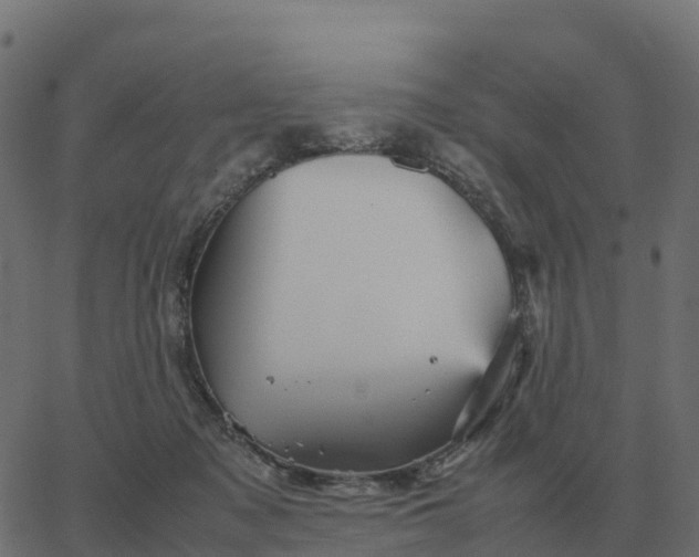 X0000067890317200604271833