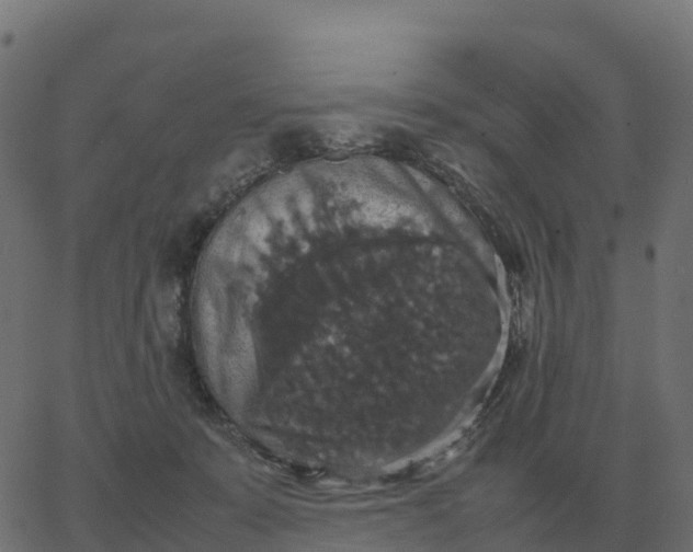 X0000067890319200604271833