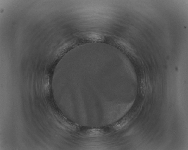 X0000067890320200604271833