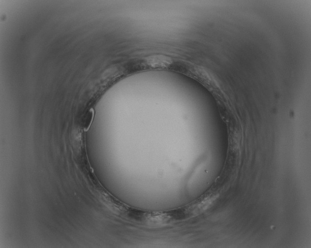 X0000067890321200604271833