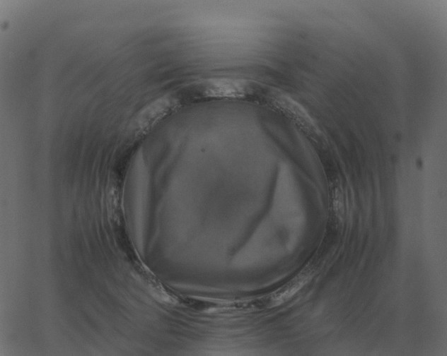 X0000067890322200604271833