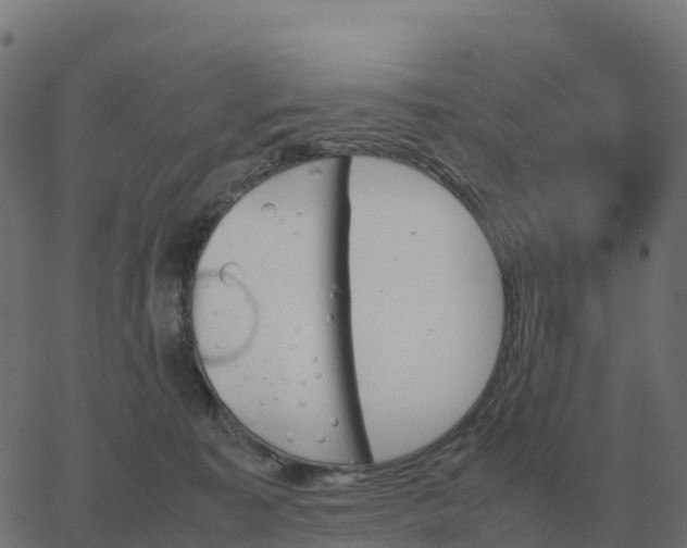 X0000067890323200604271833