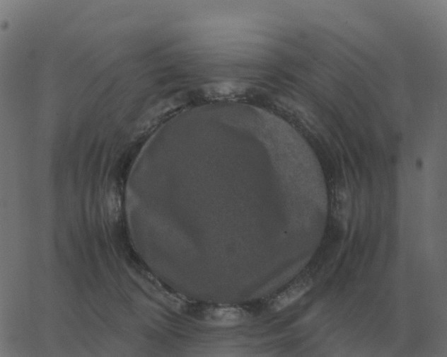 X0000067890324200604271833